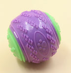 PetGuru™ Interactive Squeaky Dog Ball