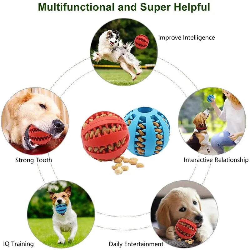 PetiBall™ Interactive Treat Ball