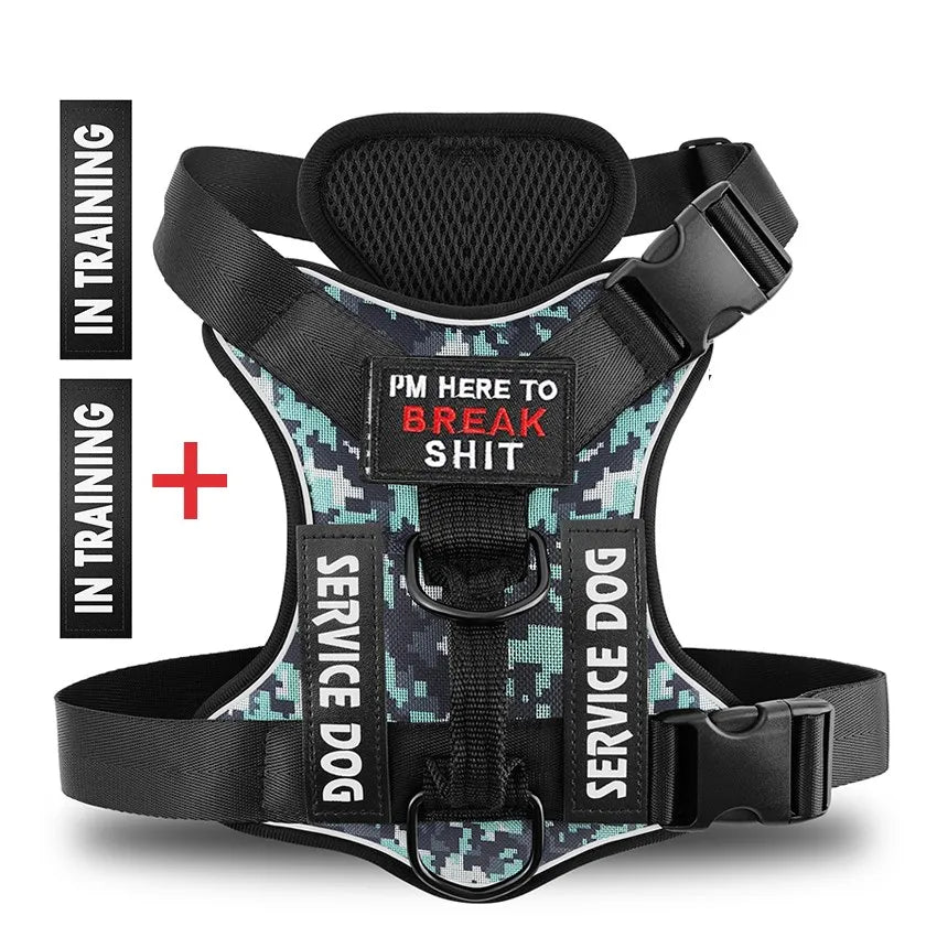 Reflective No-Pull Dog Harness with Leash & Custom ID Tag