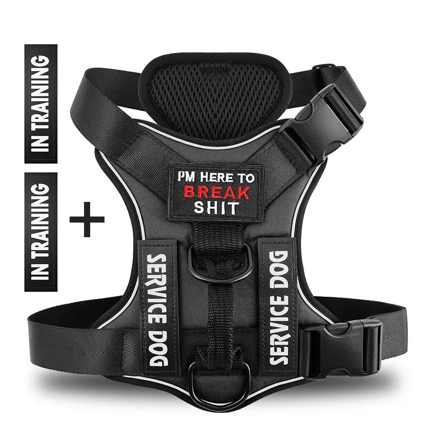Reflective No-Pull Dog Harness with Leash & Custom ID Tag