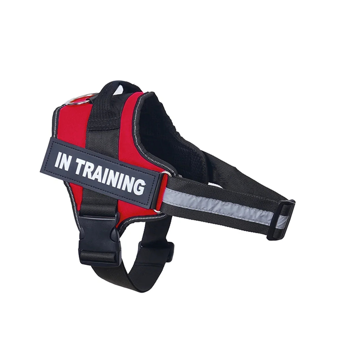 Personalized Reflective No-Pull Dog Harness