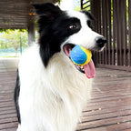 PetGuru™ Interactive Squeaky Dog Ball
