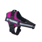 Personalized Reflective No-Pull Dog Harness