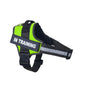 Personalized Reflective No-Pull Dog Harness
