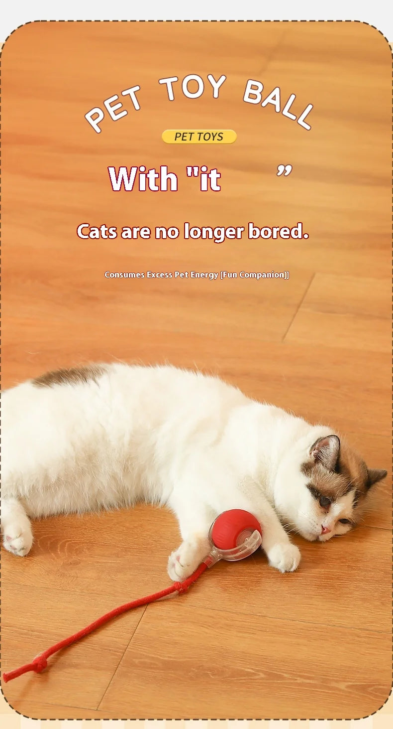 2Pcs Cat Interactive Ball Toys Automatic Rolling Ball Faux Tail Rechargeable Smart Pet Electric Toy Cat Training Imitate Mouse