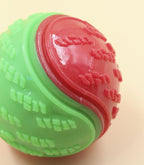 PetGuru™ Interactive Squeaky Dog Ball
