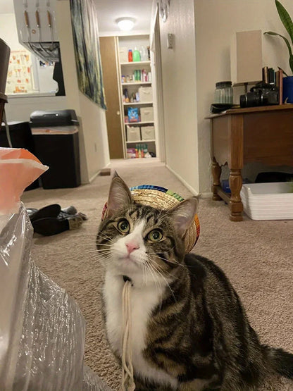 Adjustable Summer Straw Hat for Cats & Dogs
