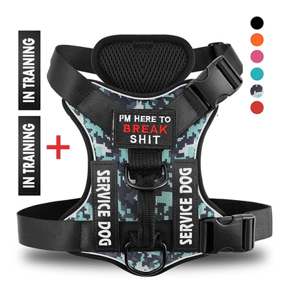 Reflective No-Pull Dog Harness with Leash & Custom ID Tag