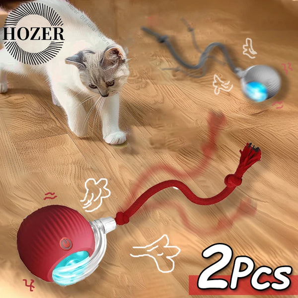 Interactive Rolling Cat Ball Toy