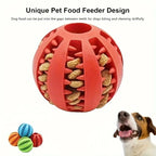 PetiBall™ Interactive Treat Ball