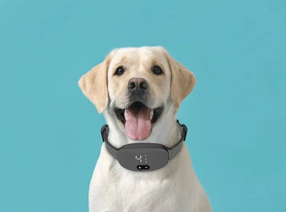 Anti-Bark Dog Collar – Sound & Vibration Training