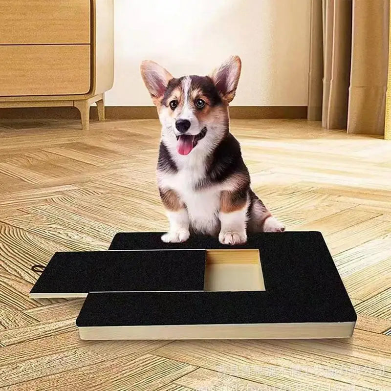 Dog standing on a black pet step in a home setting