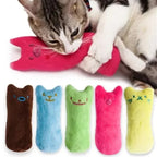 Interactive Catnip Plush Chew Toy for Cats & Kittens